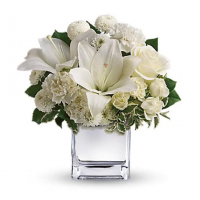 Teleflora's Peace & Joy Bouquet